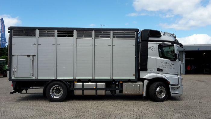 Pferde Varelmann Transport 001